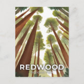 Redwood National Park | Waterverf Tall Forest Briefkaart (Voorkant)