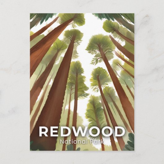 Redwood National Park | Waterverf Tall Forest Briefkaart (Voorkant)