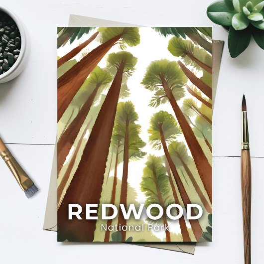Redwood National Park | Waterverf Tall Forest Briefkaart