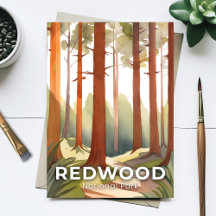 Redwood National Park | Waterverftebomen