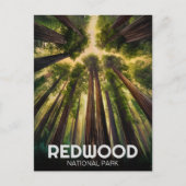 Redwood National State Park, Kust van Californië Briefkaart (Voorkant)