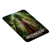 Redwood National State Park, Kust van Californië Magneet (Rechterzijde)