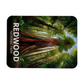 Redwood National State Park, Kust van Californië Magneet (Horizontaal)