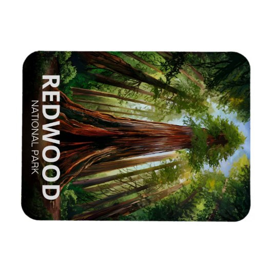 Redwood National State Park, Kust van Californië Magneet (Horizontaal)