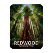 Redwood National State Park, Kust van Californië Magneet (Verticaal)