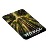 Redwood National State Park, Kust van Californië Magneet (Rechterzijde)