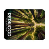 Redwood National State Park, Kust van Californië Magneet (Horizontaal)