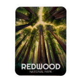 Redwood National State Park, Kust van Californië Magneet (Verticaal)