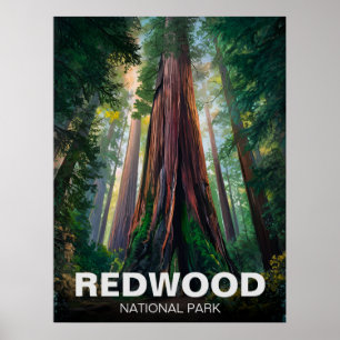 Redwood National State Park, Kust van Californië Poster