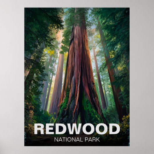 Redwood National State Park, Kust van Californië Poster (Voorkant)