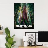 Redwood National State Park, Kust van Californië Poster (Thuiskantoor)