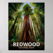 Redwood National State Park, Kust van Californië Poster (Voorkant)
