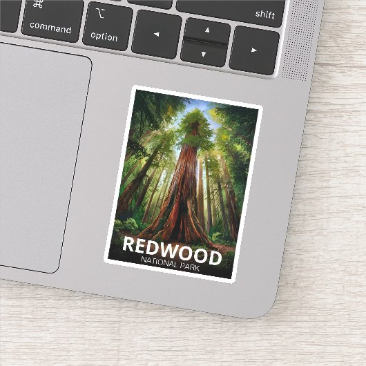 Redwood National State Park, Kust van Californië Sticker (Detail)
