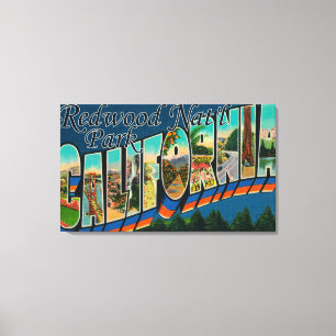Redwood Nat'l Park Canvas Afdruk