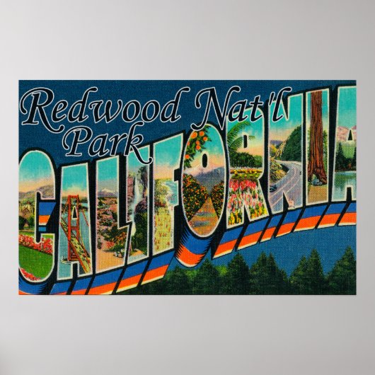 Redwood Nat'l Park Poster (Voorkant)