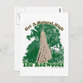 Redwood Natural High Briefkaart (Voorkant / Achterkant)