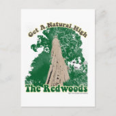 Redwood Natural High Briefkaart (Voorkant)