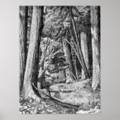 Redwood Park Poster (Voorkant)