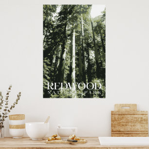 Redwood Poster, National Park Afdrukken Poster
