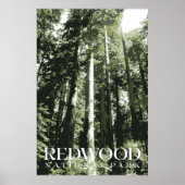 Redwood Poster, National Park Afdrukken Poster (Voorkant)