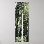 Redwood Print, Nationaal Park Poster, 12x36" Poster (Voorkant)