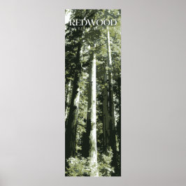 Redwood Print, Nationaal Park Poster, 12x36" Poster