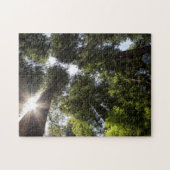 Redwood State Park Legpuzzel (Horizontaal)