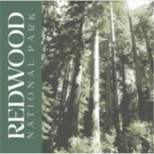 Redwood Sticker, Nationaal Park Decal Sticker (Voorkant)