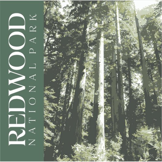 Redwood Sticker, Nationaal Park Decal Sticker (Voorkant)