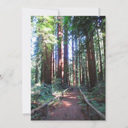 Redwood Trail Noord-Californië Kaart (Voorkant)