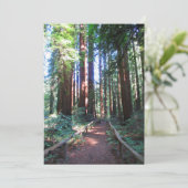 Redwood Trail Noord-Californië Kaart (Staand voorkant)