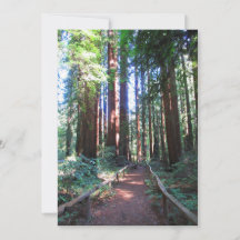 Redwood Trail Noord-Californië