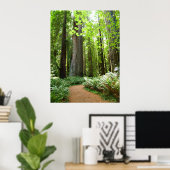 Redwood Trail Poster (Thuiskantoor)