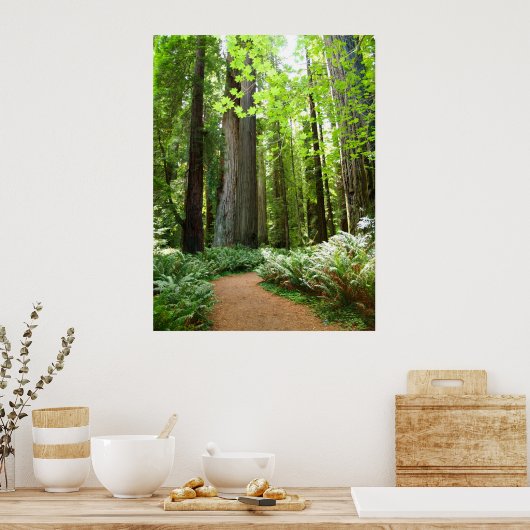 Redwood Trail Poster (Keuken)