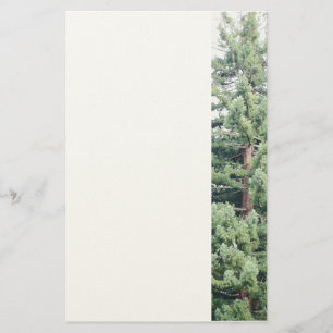 Redwood Tree Stationery Briefpapier