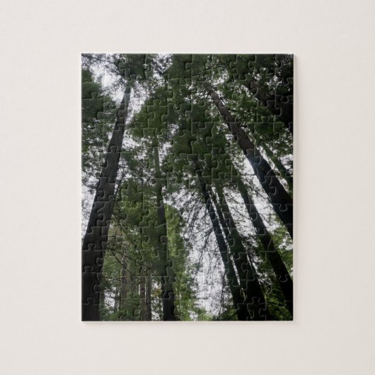 Redwood Trees #3 Jigzaag Puzzle Legpuzzel (Verticaal)