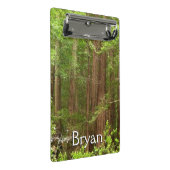 Redwood Trees at Muir Woods National Monument Mini Klembord (Schuin)