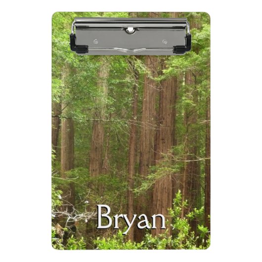 Redwood Trees at Muir Woods National Monument Mini Klembord (Voorkant)