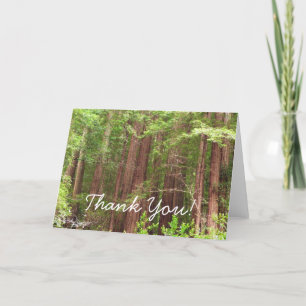 Redwood Trees bij Muir Bossen Dank u Card Bedankkaart