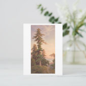 Redwood Trees California  Prang Lithograph Briefkaart (Staand voorkant)