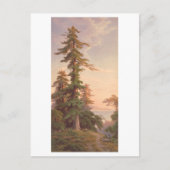 Redwood Trees California  Prang Lithograph Briefkaart (Voorkant)