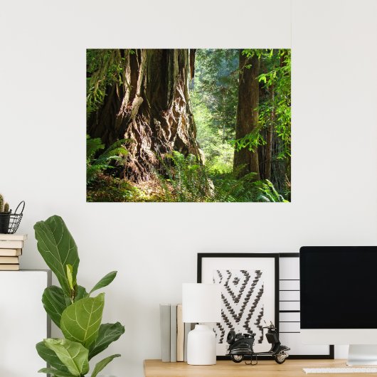 Redwood Trees Forest art prints Big Redwood (Thuiskantoor)