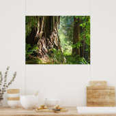 Redwood Trees Forest art prints Big Redwood (Keuken)