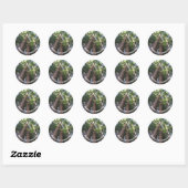 Redwood Trees Foto Earth Day Ronde Sticker (Vel)