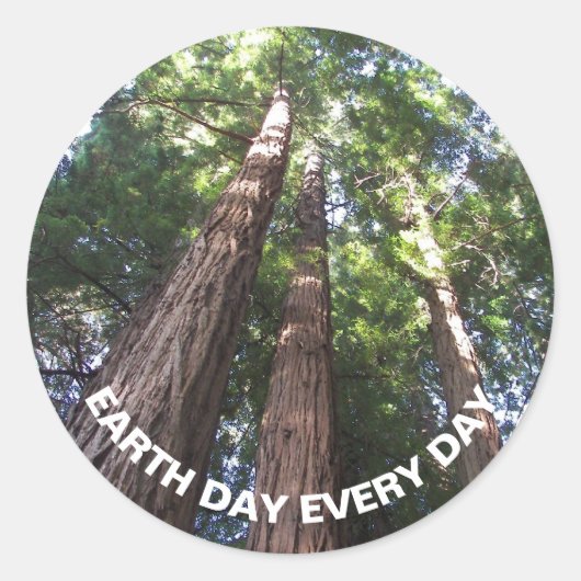 Redwood Trees Foto Earth Day Ronde Sticker (Voorkant)