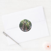 Redwood Trees Foto Earth Day Ronde Sticker (Envelop)