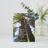 Redwood Trees Muir Quote Briefkaart (Staand voorkant)