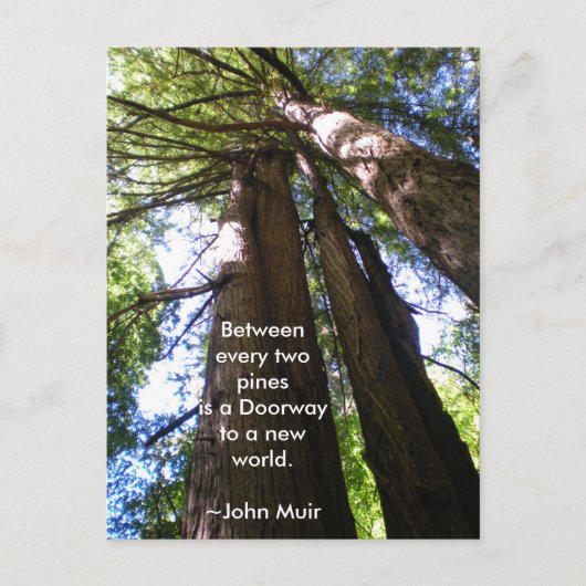 Redwood Trees Muir Quote Briefkaart (Voorkant)