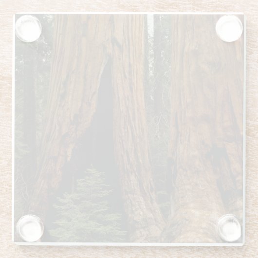 Redwood Trees, Nationaal Park Sequoia Glazen Onderzetter (Achterkant)