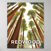 Redwood Trees | National Park Waterverf Reizen Poster (Voorkant)